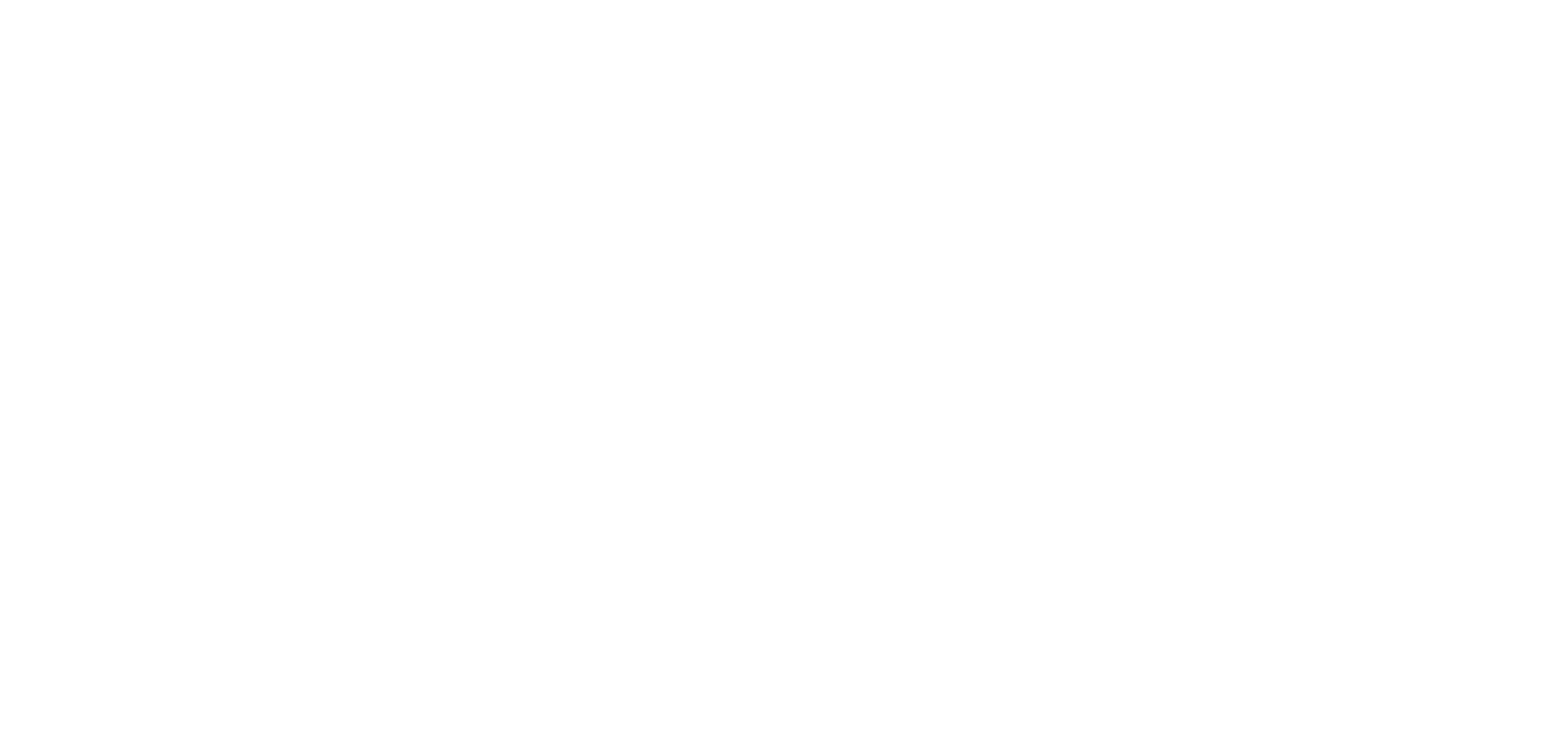Tecnauto sas